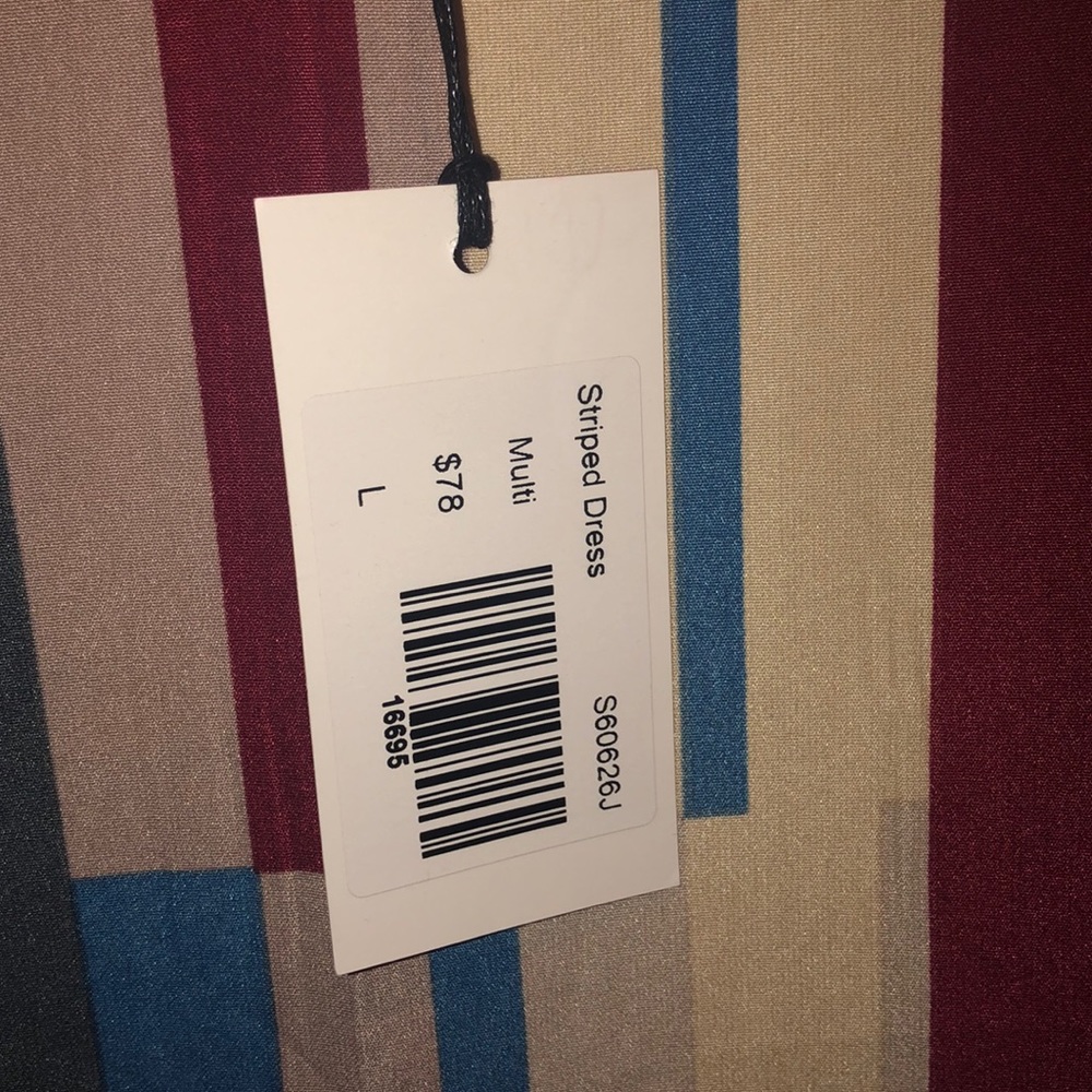 Ruby Pattern Striped Midi Dress - Picture 4 of 6